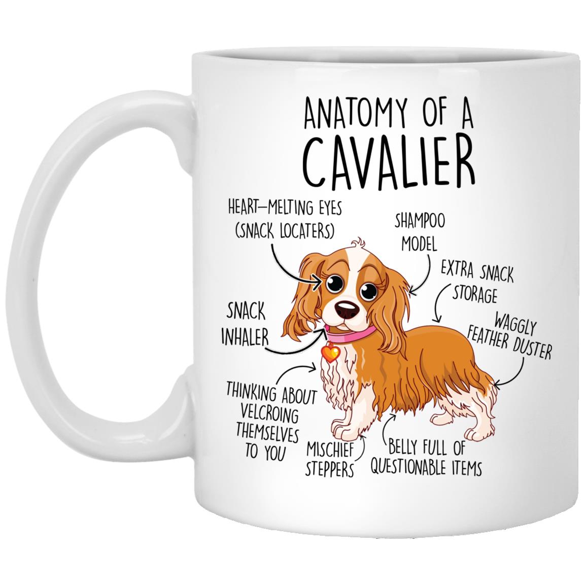 Cavalier King Charles Spaniel