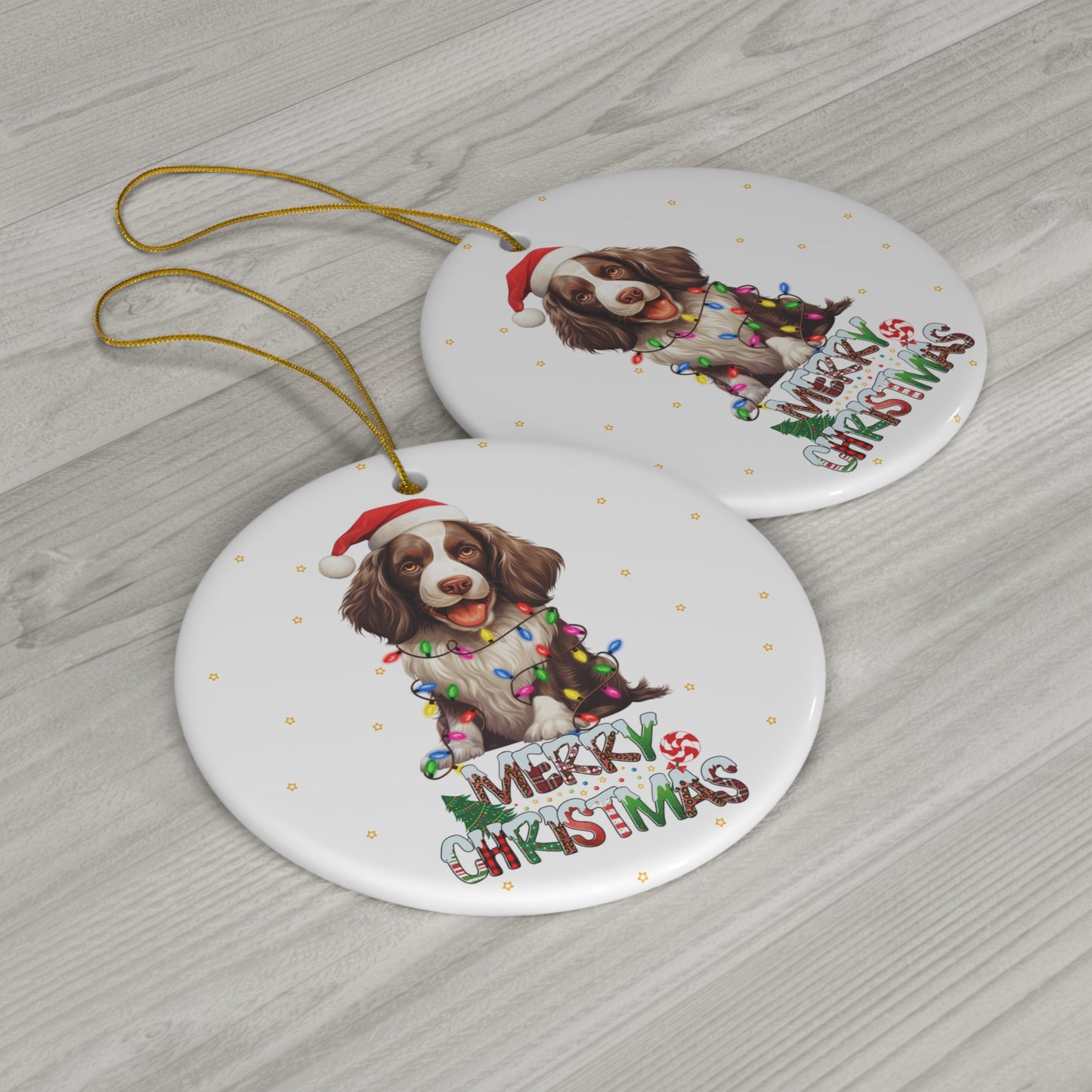 English Springer Spaniel both side