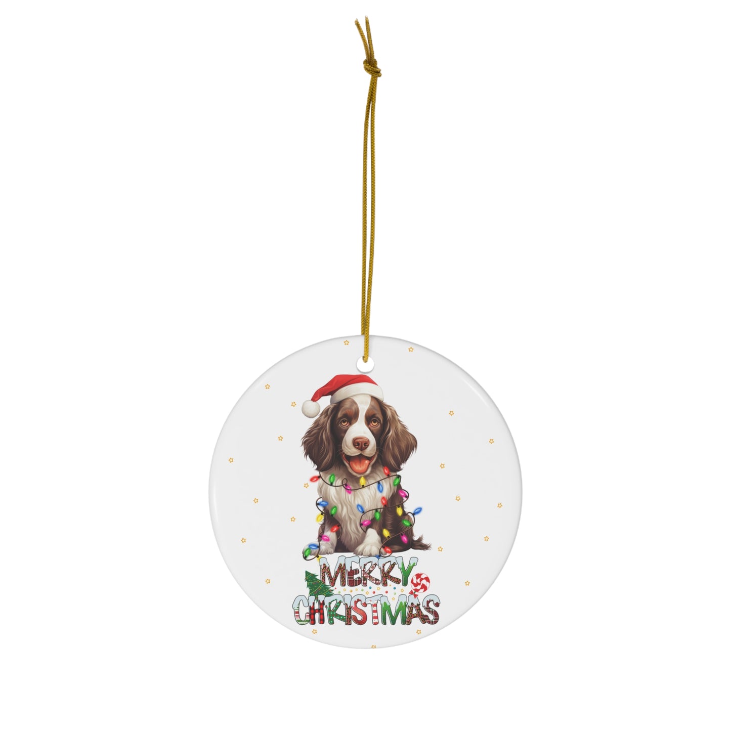 English Springer Spaniel both side