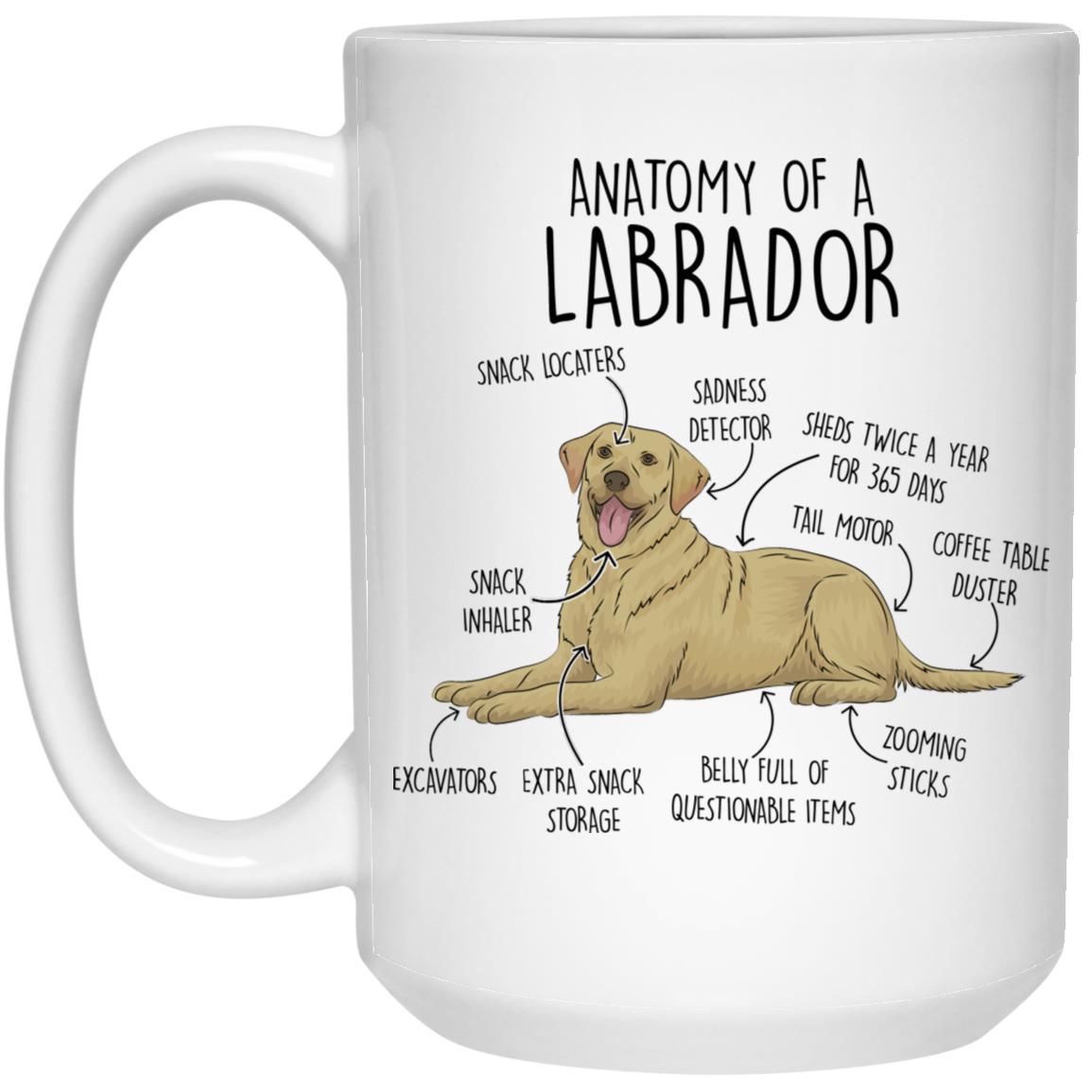 Yellow Labrador Retriever