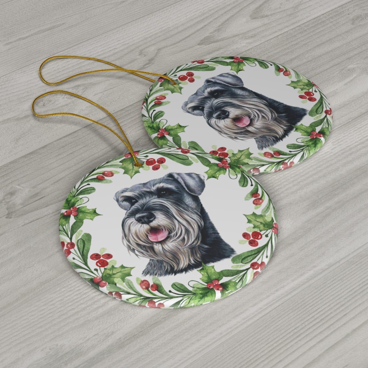 Schnauzers both